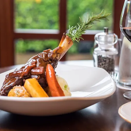 מלון Kilmurry Limerick Junction