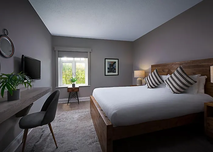 Kilmurry Hotel Limerick Junction